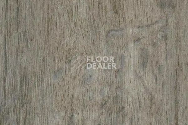 Виниловая плитка ПВХ FORBO Effekta Intense 41025 P Dusty Harvest Oak INT фото 1 | FLOORDEALER